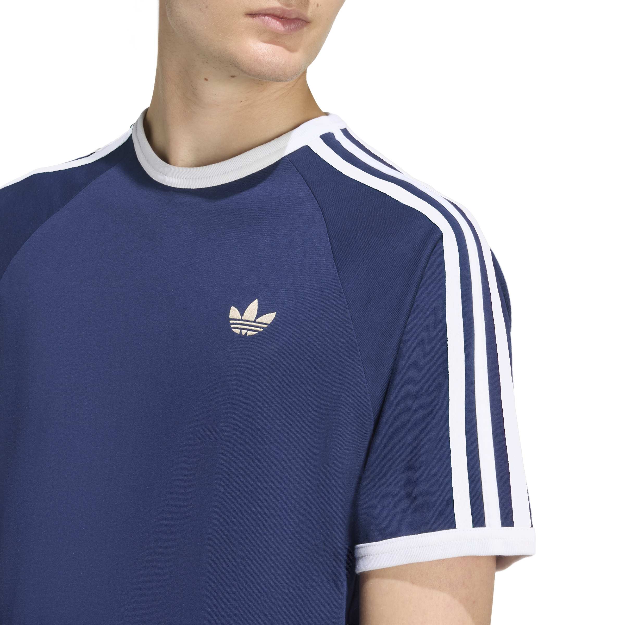 3S TEE image number null